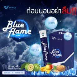 blue-flame-vflame-บูล-เฟลม-วีเฟลม-10