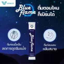 blue-flame-vflame-บูล-เฟลม-วีเฟลม-2