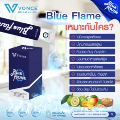 blue-flame-vflame-บูล-เฟลม-วีเฟลม-6
