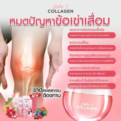 colly-j-collagen-คอลลี่เจ-คอลลาเจน-4
