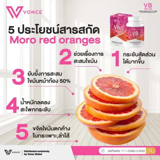 VB Plus วีบีพลัส อาหารเสริมลดน้ำหนัก เร่งเผาผลาญ สลายไขมัน ลดพุง เร่งเบิร์น ดีท็อก 5