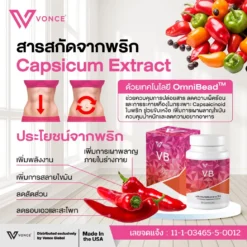 VB วีบี อาหารเสริมลดน้ำหนัก เร่งเผาผลาญ สลายไขมัน ลดพุง เร่งเบิร์น ดีท็อก6_6