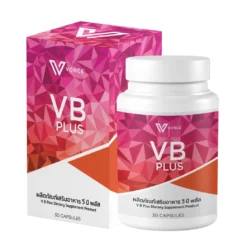 VB Plus